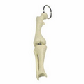 Knee Joint Keyring